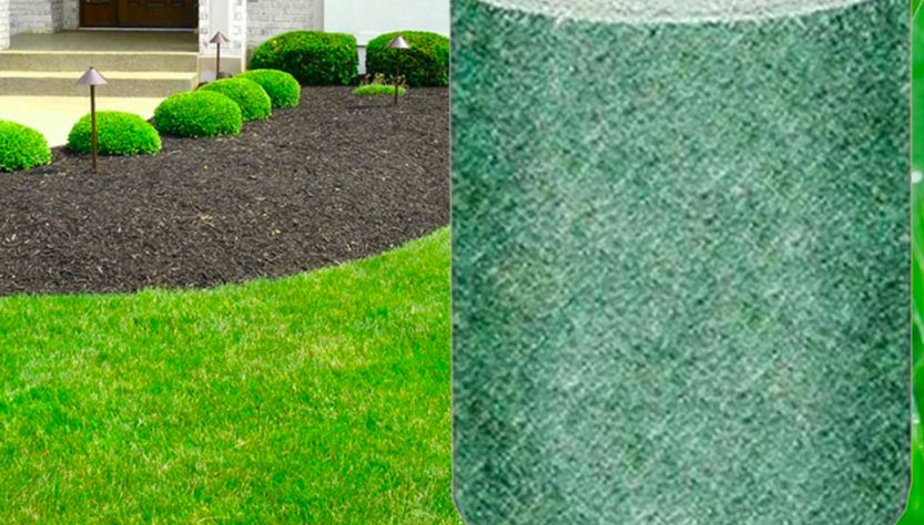 grass seed mat